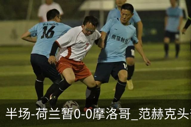 半场-荷兰暂0-0摩洛哥 范赫克头部屡遭重创血染赛场 费布吕亨神扑