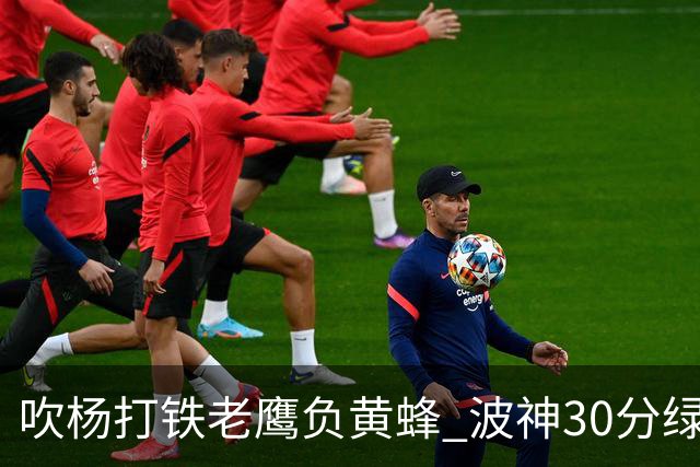 吹杨打铁老鹰负黄蜂 波神30分绿军险胜尼克斯